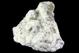 Quartz, Fluorite and Pyrite Crystal Association - Morocco #82791-1